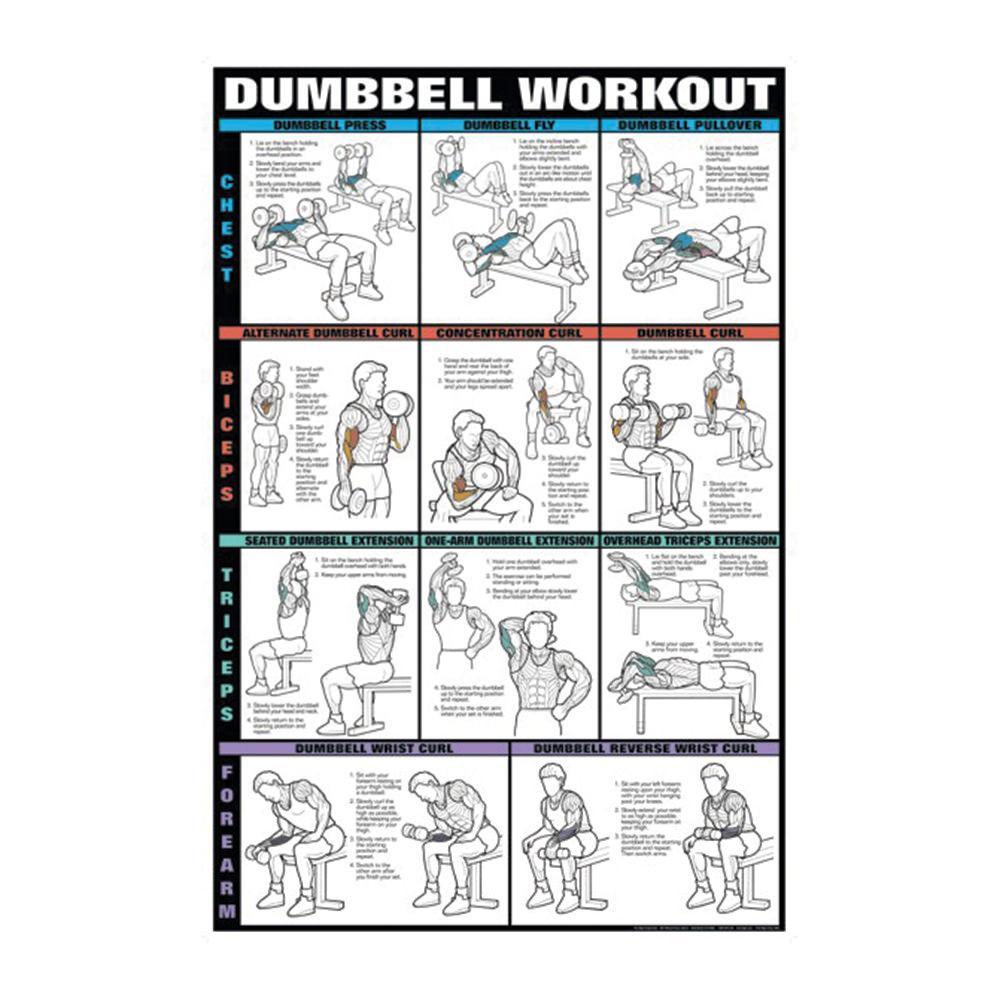 Dumbbell Workout Chart Printable