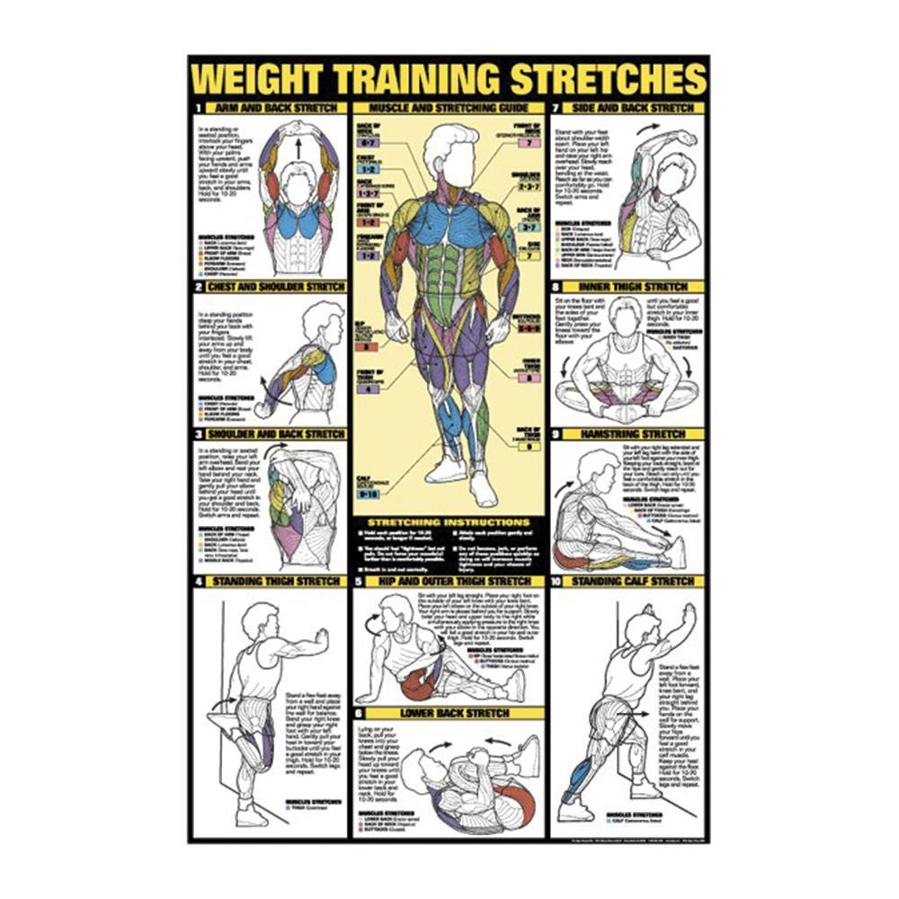 Weight Training Chart With Pictures